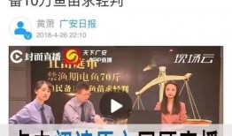 爆料禹城事件视频播放,真相与争议交织的舆论漩涡