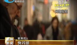 柳州爆料热点新闻视频回放,揭秘事件真相与背后故事