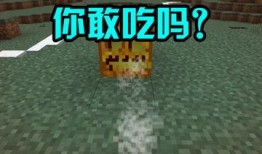 新瓜最新爆料tnt,揭秘娱乐圈背后的惊人真相